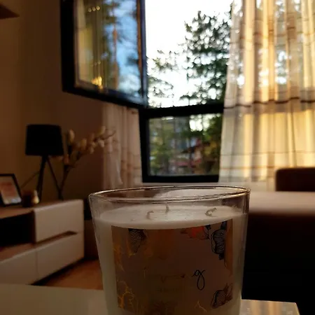 Centar Stefi 아파트